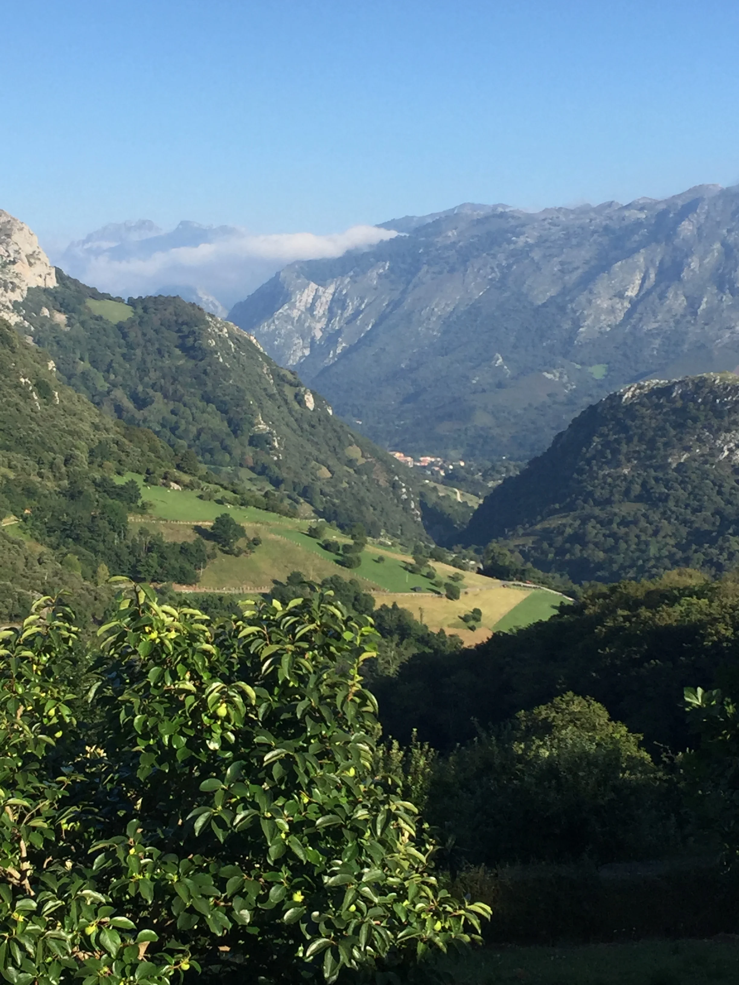 Asturias: Cheese Caves and Cider Houses in Asiego