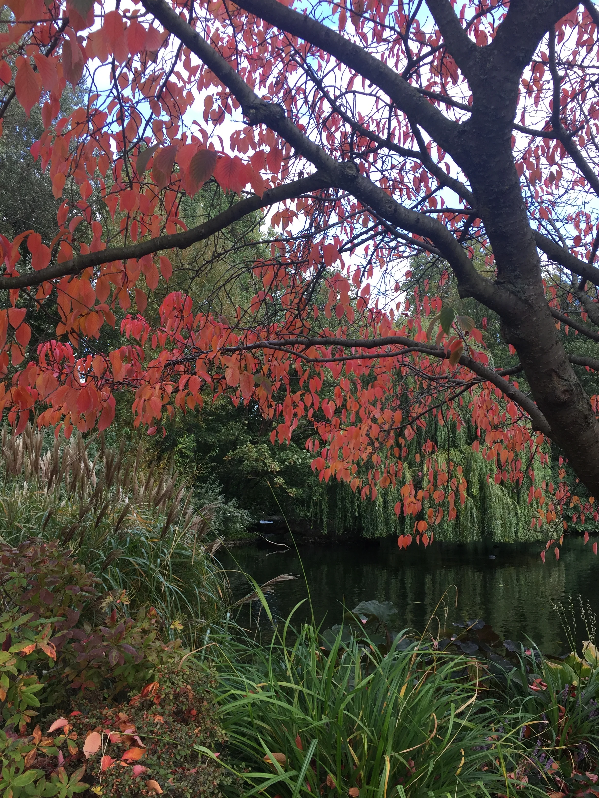 London: A Glimpse of Autumn 
