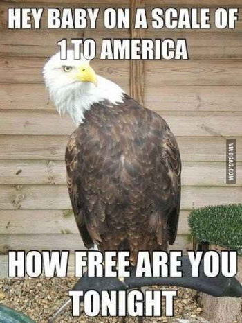 d1c88d6e294f1f033fe9cf64f2eb1ae0.jpg