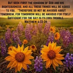 matthew 6 33-34.jpg