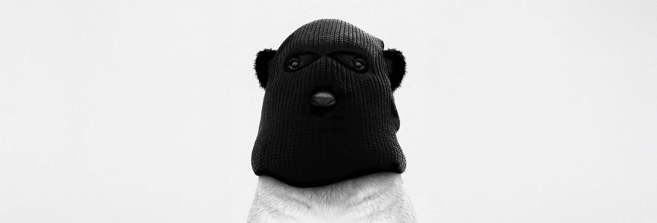 pandawearingbalaclava_index copy.jpg