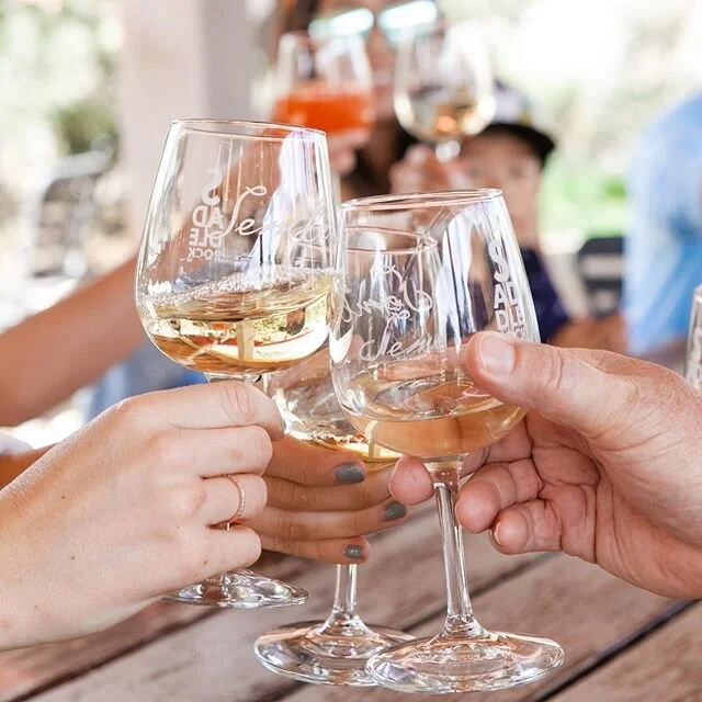 Surfing + hiking + wine tasting? Yes!!! 🥂 .
.
We&rsquo;ve partnered with @malibuwinehikes to offer an amazing surfing + hiking + wine tasting adventure where you will experience the beauty of the coast and the hills of Saddle Rock Ranch, capped off 