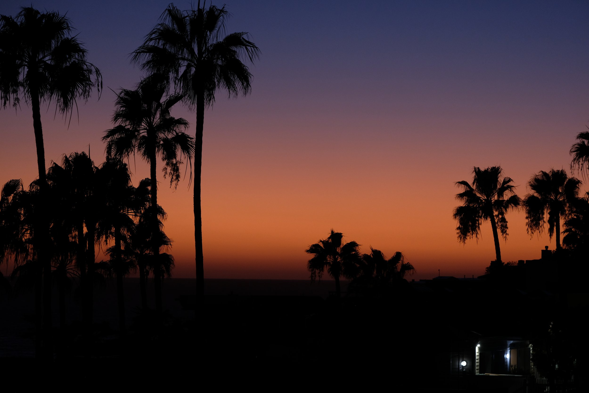 DSCF3794.JPG