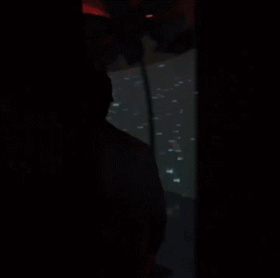 ShawnOnStage.2.gif