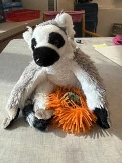 stuffy.jpeg