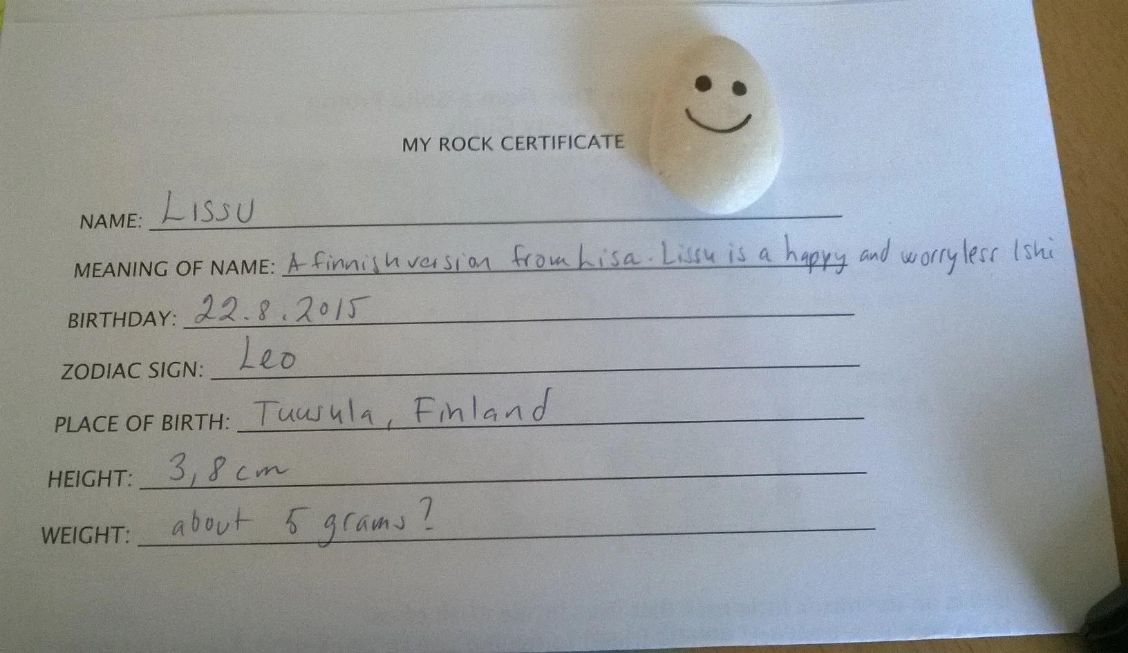 Lissu, Heidi's happy rock from Finland!