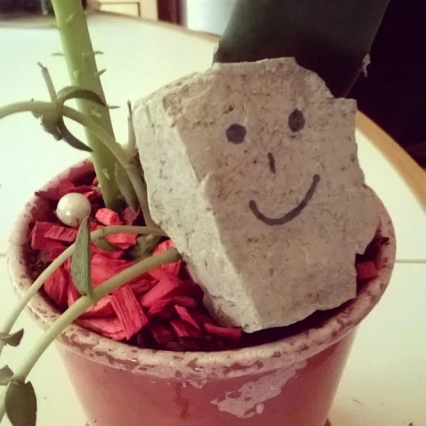 Monica's Ishi rock from Italy!