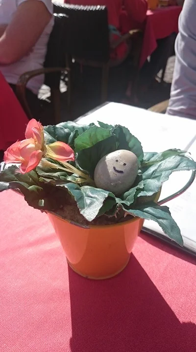 Corinne's Ishi rock happy under the sun in Belgium.jpg