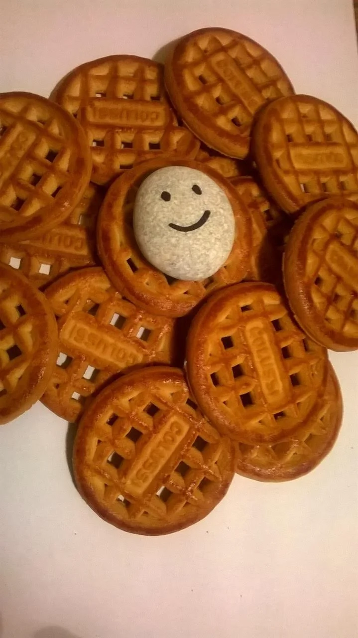Marcello and Matteo's Ishi rock HAPPY with biscuits in Cremona, Italy!