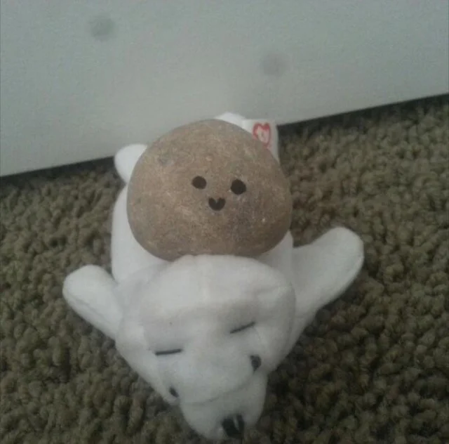 Hannah's rock happy with teddy in Farmington, Utah!