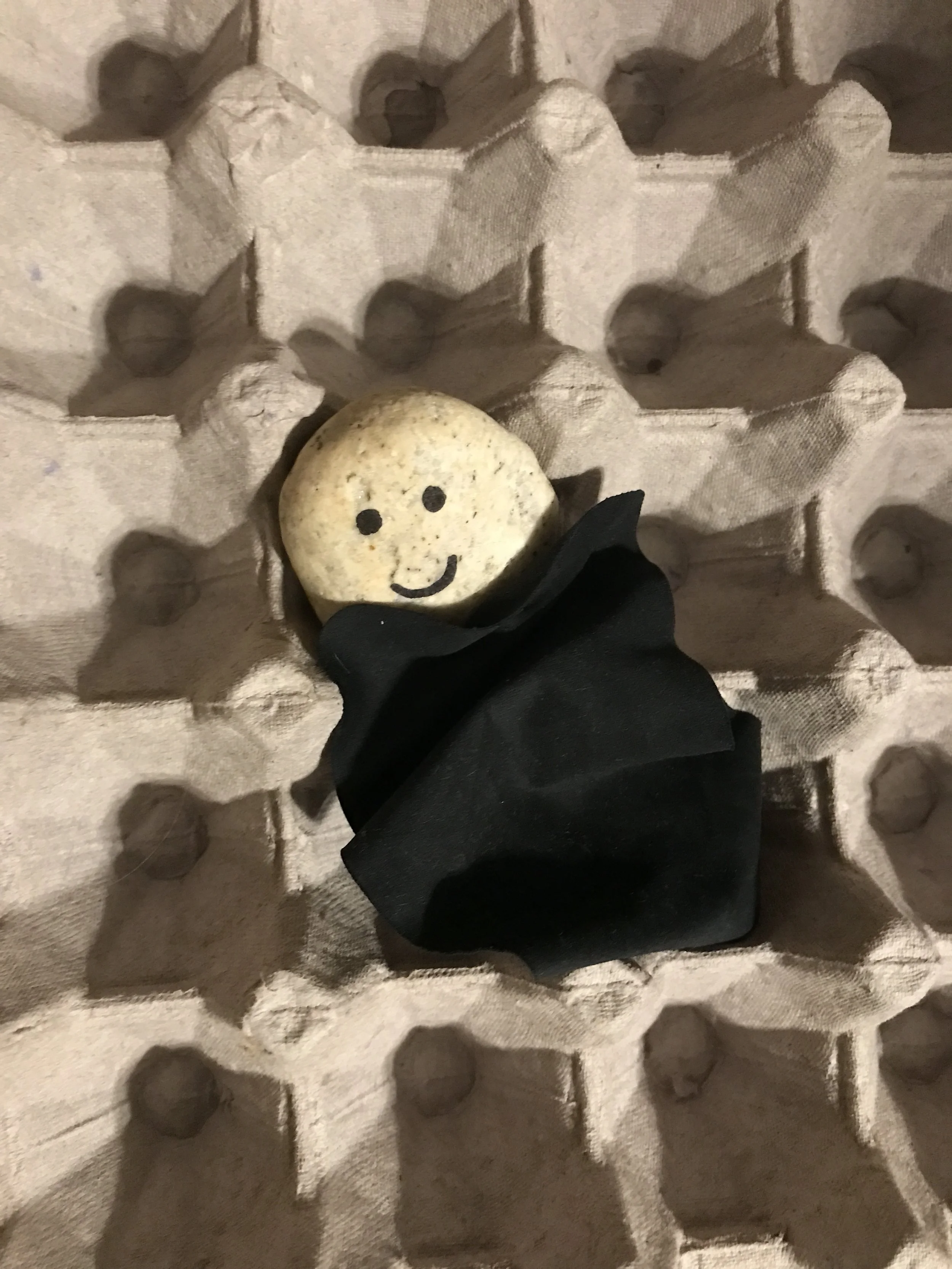 Kaelynn's rock tucked in for bed in the egg carton in Petersburg, Alaska!