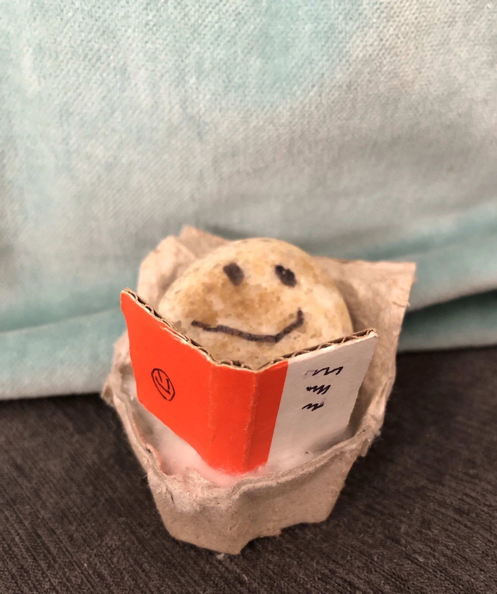 Simon's Ishi rock HAPPY likes to read! From Edmonton, Alberta, CANADA!