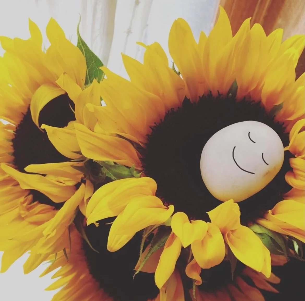 Happy Mother&rsquo;s Day to all the moms and the mom‑energy heroes out there &mdash; the ones who care fiercely, love endlessly, and keep us grounded. You rock today and every day 🪨💛

#ishitherock #momsarethebest
