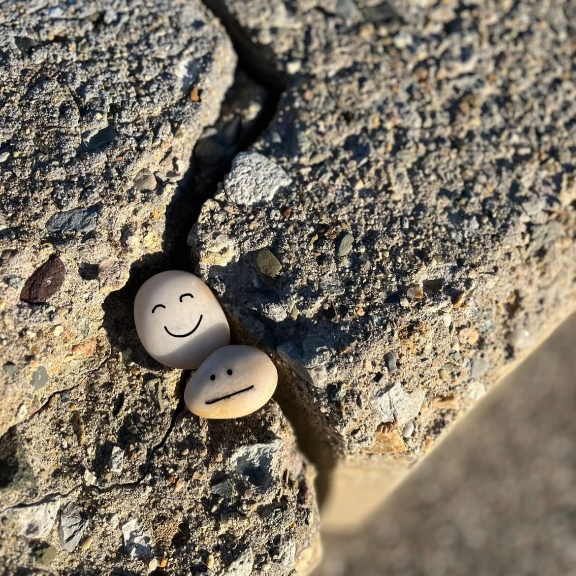 Solid Friend Friday 🪨💛
Tag your solid friend who will sit in a crack with you, and make it feel less lonely.

#ishitherock #solidfriendfriday #friendshipgoals #friendshipismagic