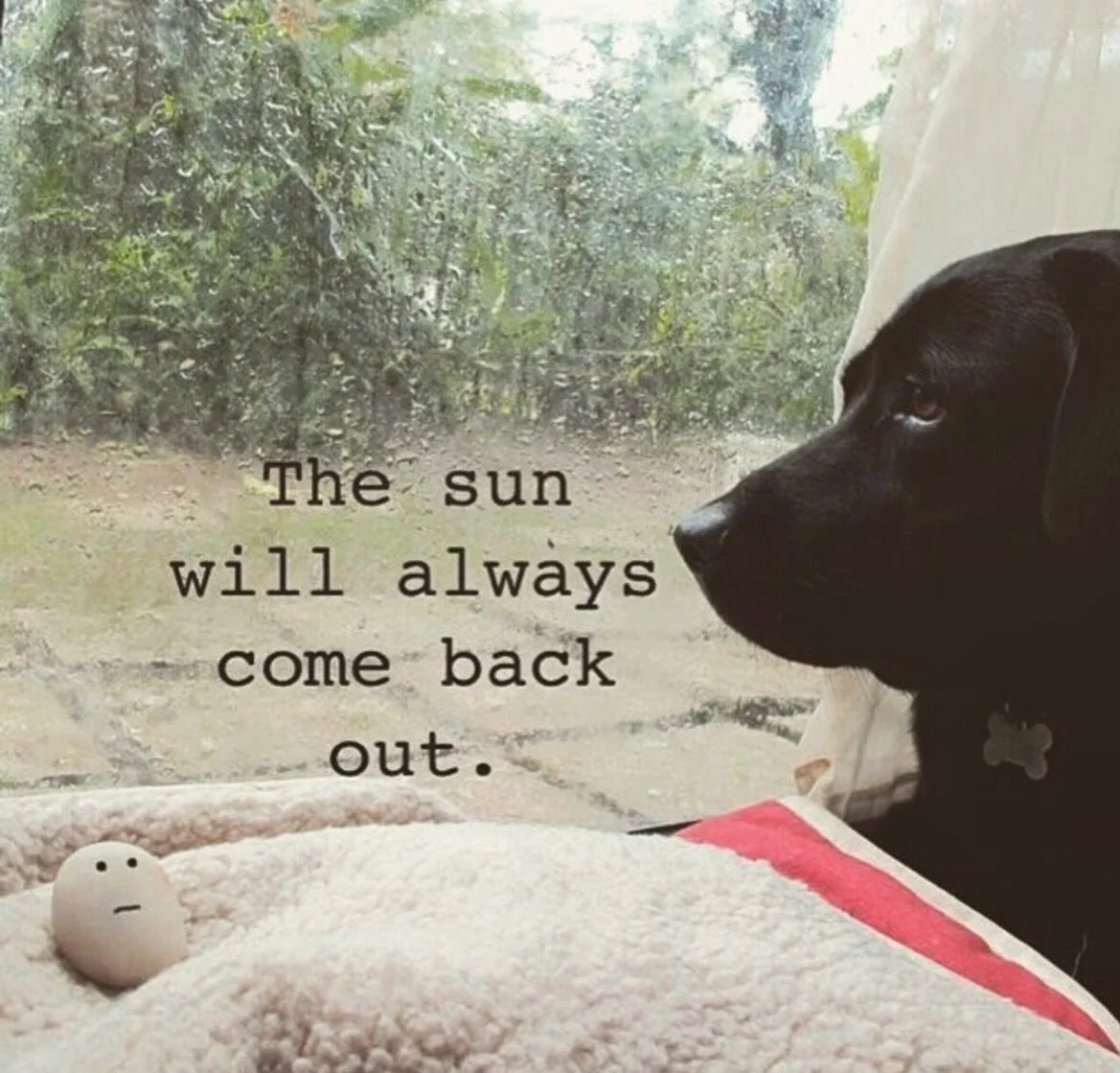 Tiny thought from a rock 🪨💛

There wouldn&rsquo;t be rainbows without the rain 🌈

#ishitherock #positivity