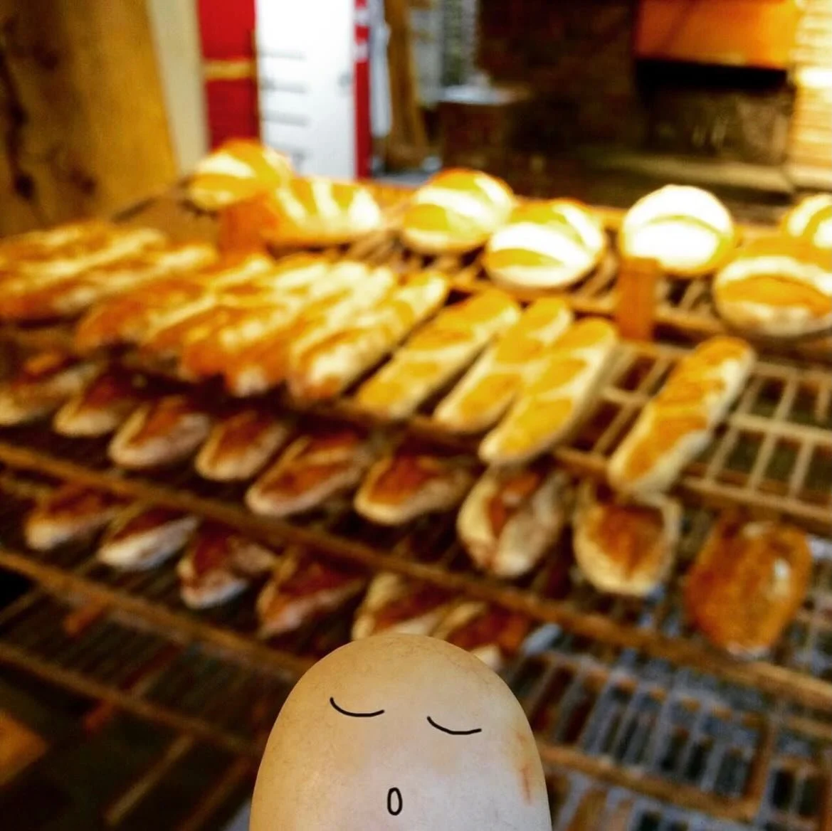 Solid Friend Friday 🪨💛
Tag your solid friend who&rsquo;s basically a warm baguette in human form 🥖🥐🍞

#freashbread #cozyvivesonly #SimpleJoys #feedgoodfeed