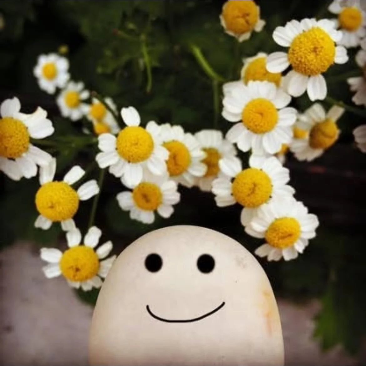 ISHI Check‑In 🪨💛 

What&rsquo;s the weather inside you today? ☀️ 🌤 🌦 ⛈ 🌪 🌫
Whatever it is, it belongs. You don&rsquo;t have to change it.
I&rsquo;m glad you&rsquo;re here. I see you, exactly as you are. 🪨

#ishitherock #checkin #bekindtooneano