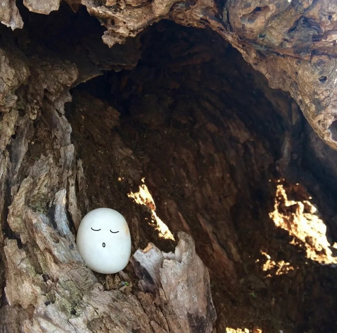 Tiny Thought Thursday 🪨💛

Inside the tree, Ishi closes his eyes and lets the world go and drift away&hellip;
A breath. A pause. A tiny reset.
If today feels heavy, step into your own &ldquo;tree hole&rdquo; &mdash; a place where you can breathe, fe
