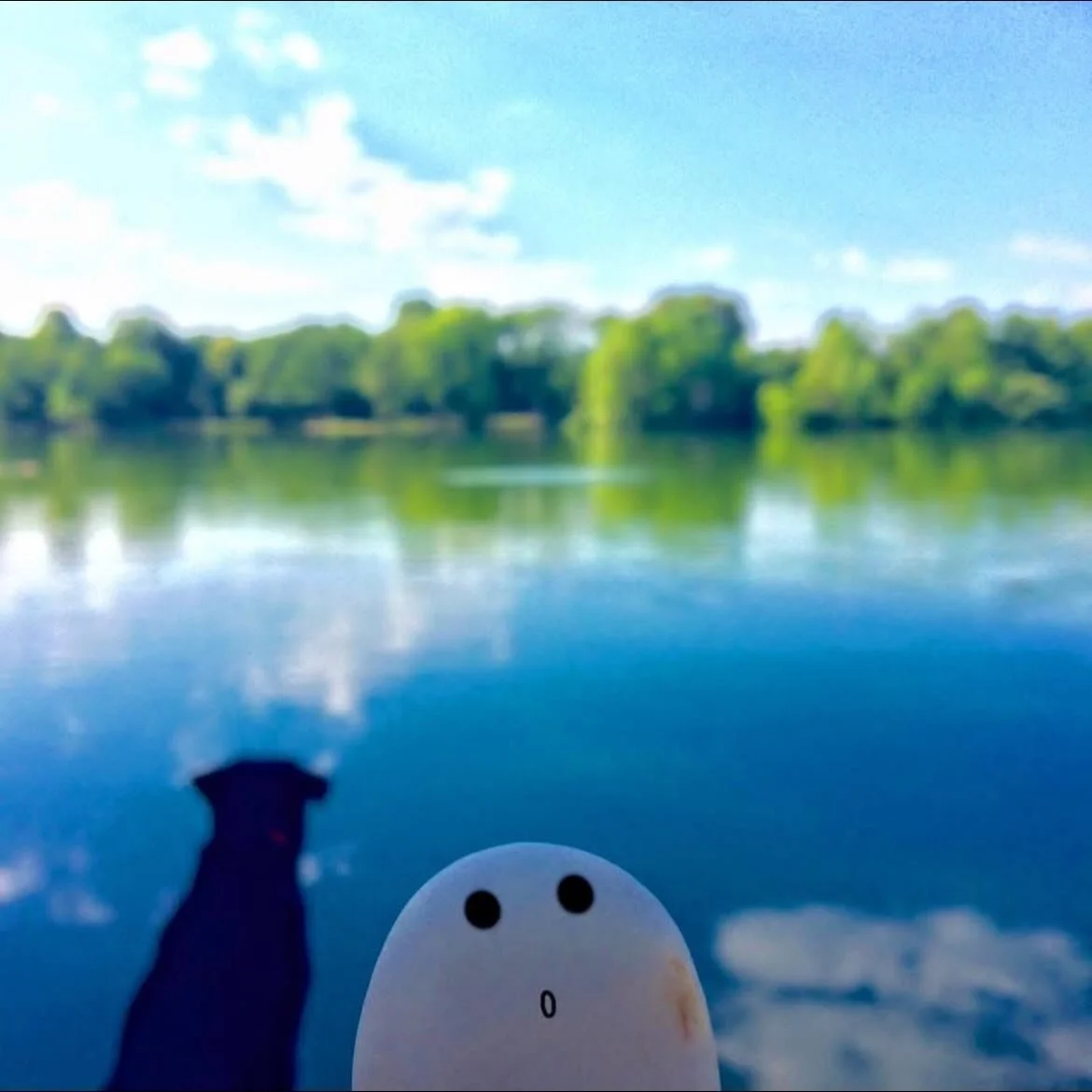 Some memories feel like sunlight you can still feel on your skin ☀💦
I&rsquo;m grateful for every warm moment he gave me.. 
What&rsquo;s a memory that feels like sunshine for you?

#ishitherock #lossofalovedone #memoriesforever #blacklabrador