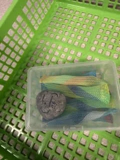 greenbasket.jpeg