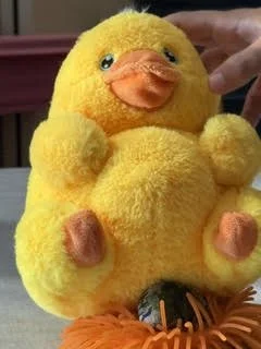 duck.jpeg