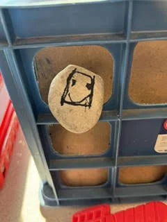 crate.jpeg