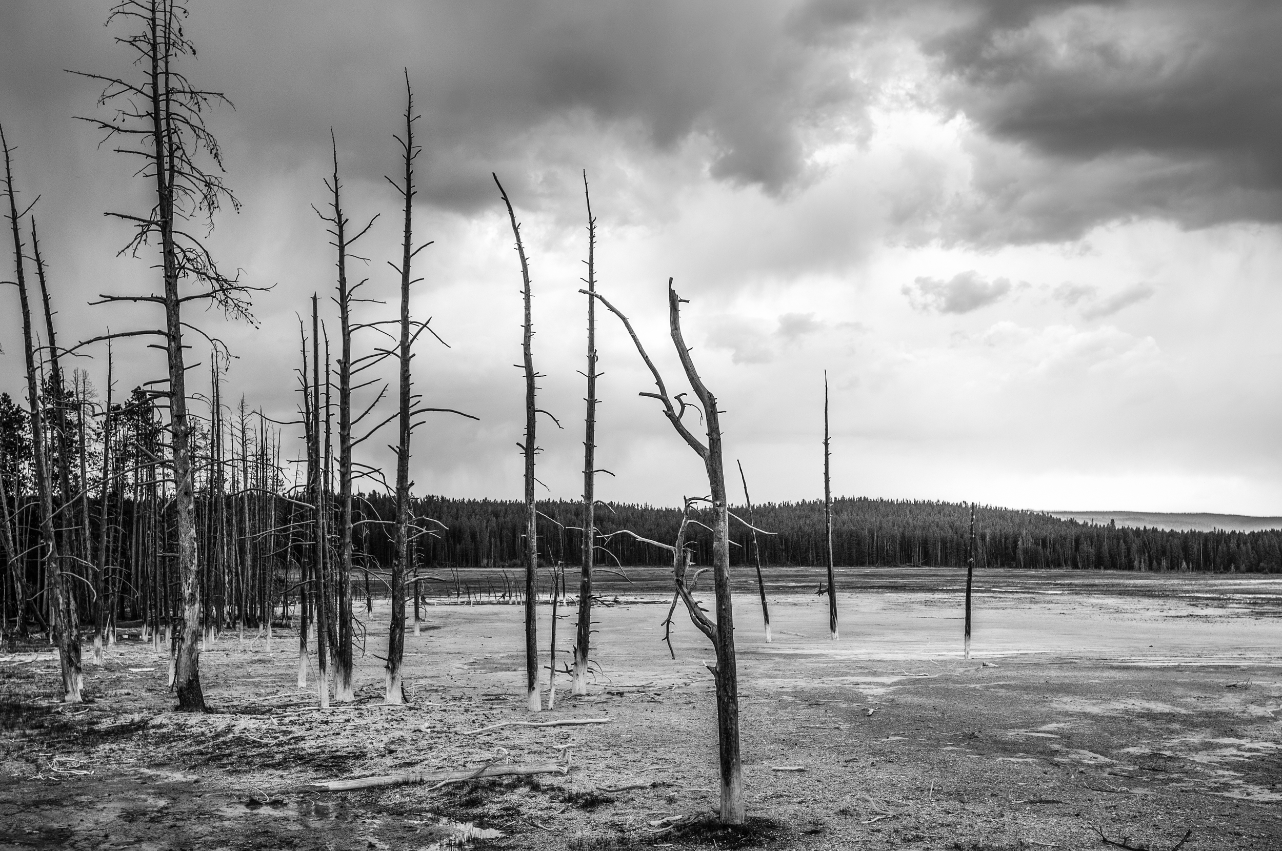 Yellowstone Park