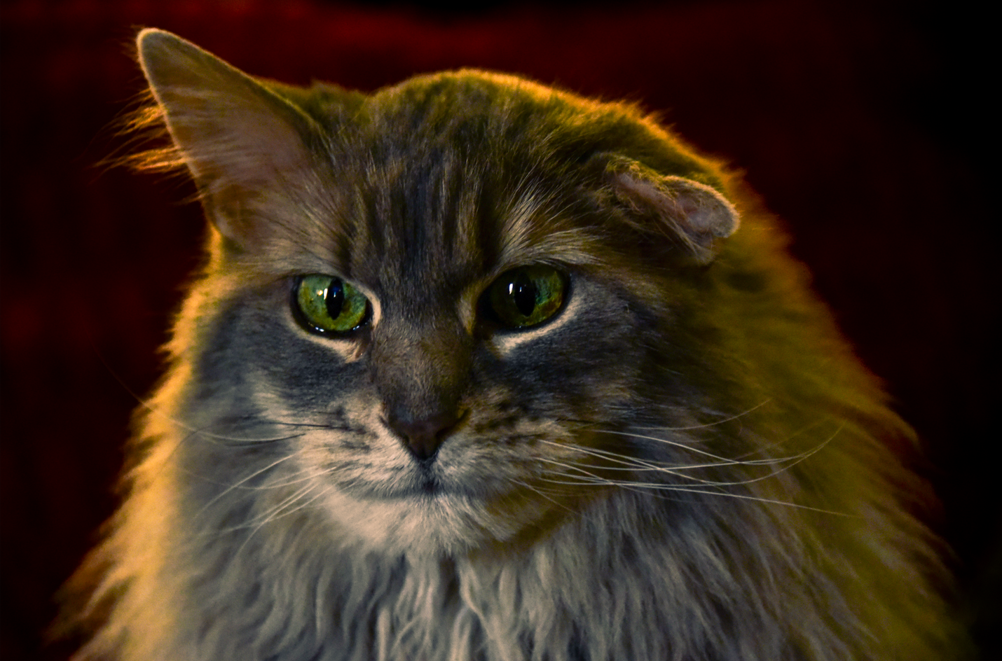 Screenshot 2025-09-17 105316.png