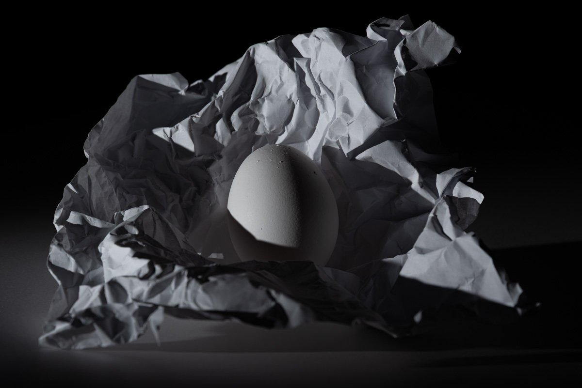 Autumn Wycheck_Egg_Paper_2026.jpg
