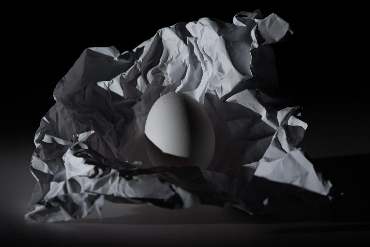 Autumn Wycheck_Egg_Paper_2026.jpg