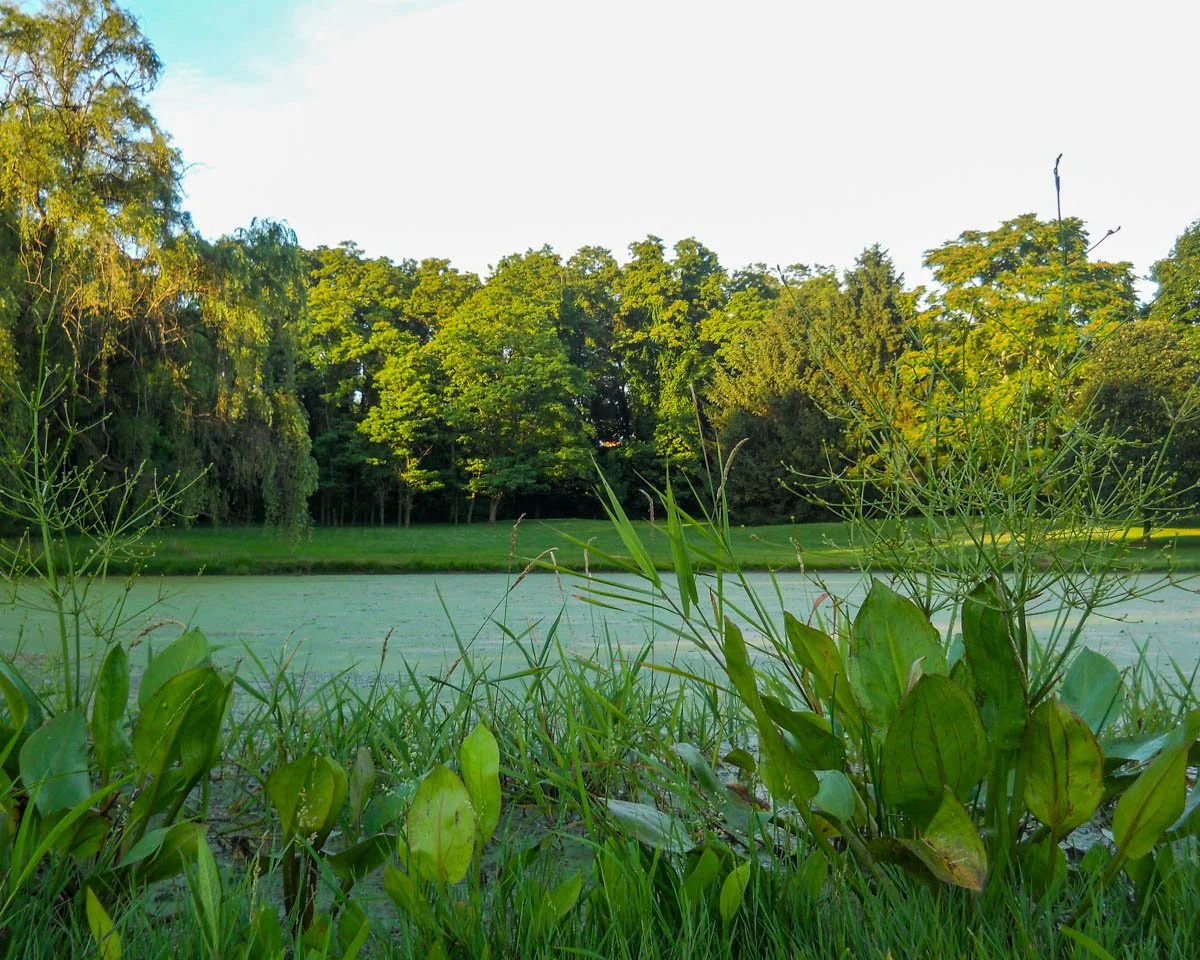 When Grandma was Alive and life was Simple