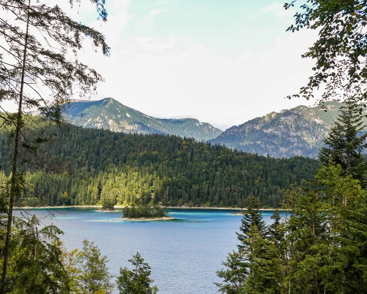 Grateful for This Day