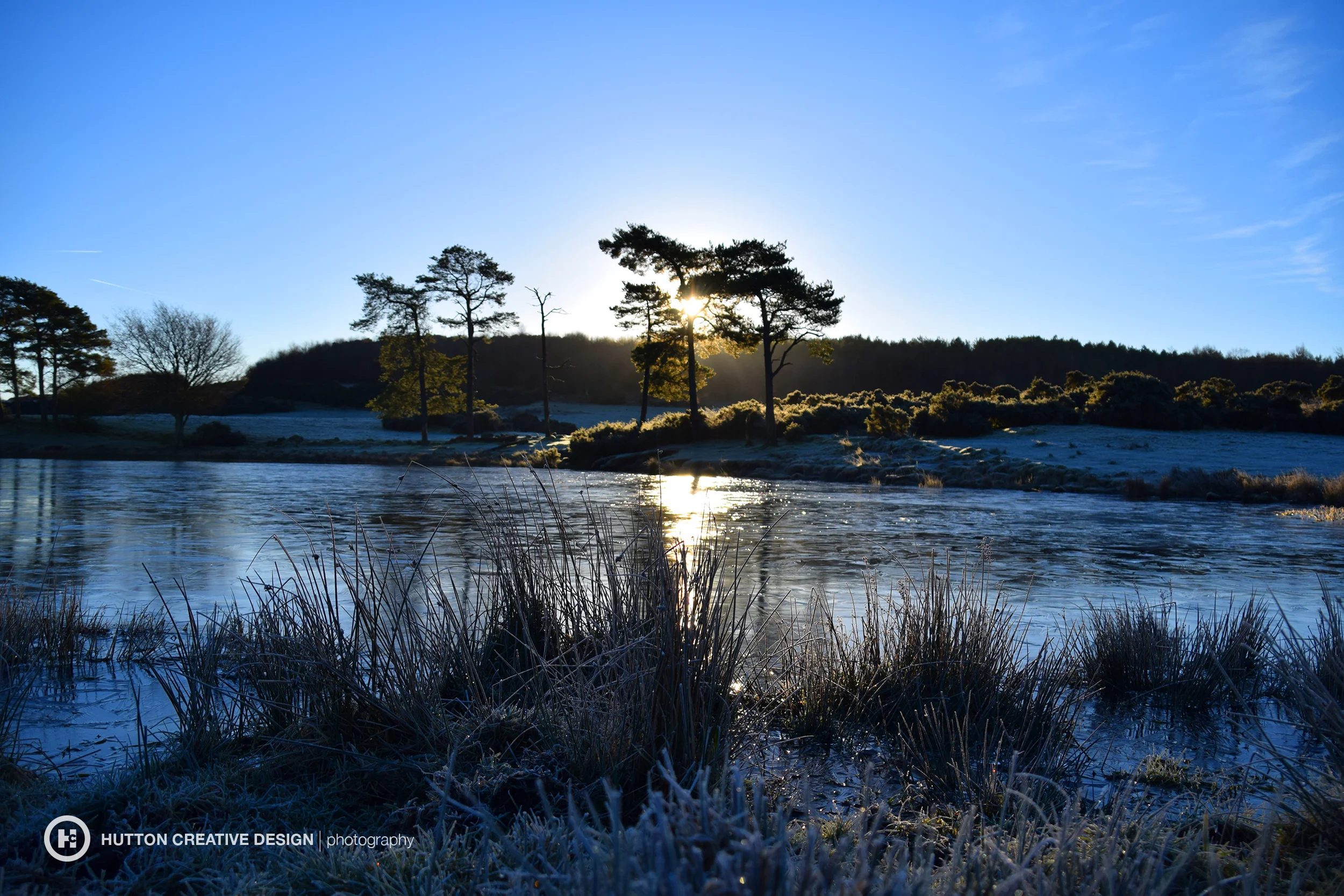 DSC_0541_flat.jpg