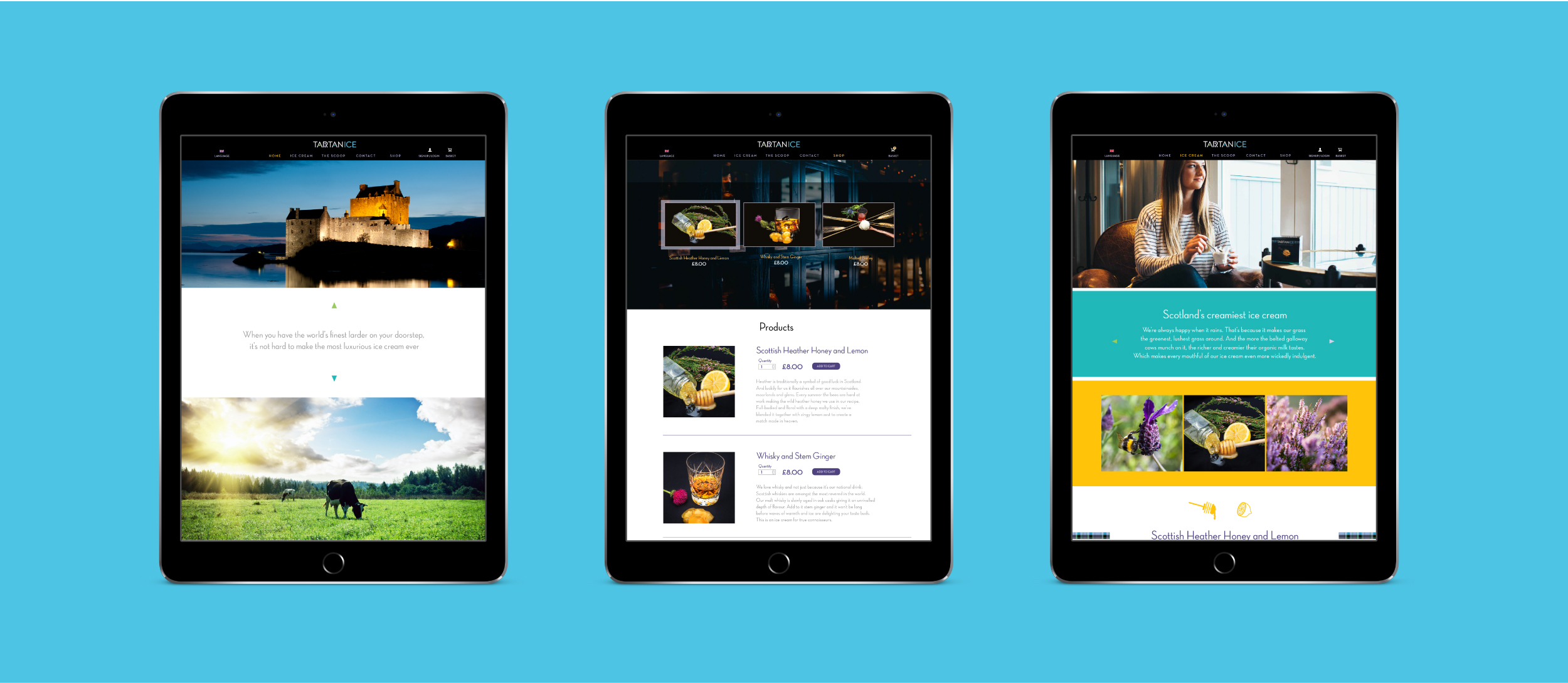 Tartanice-website.jpg