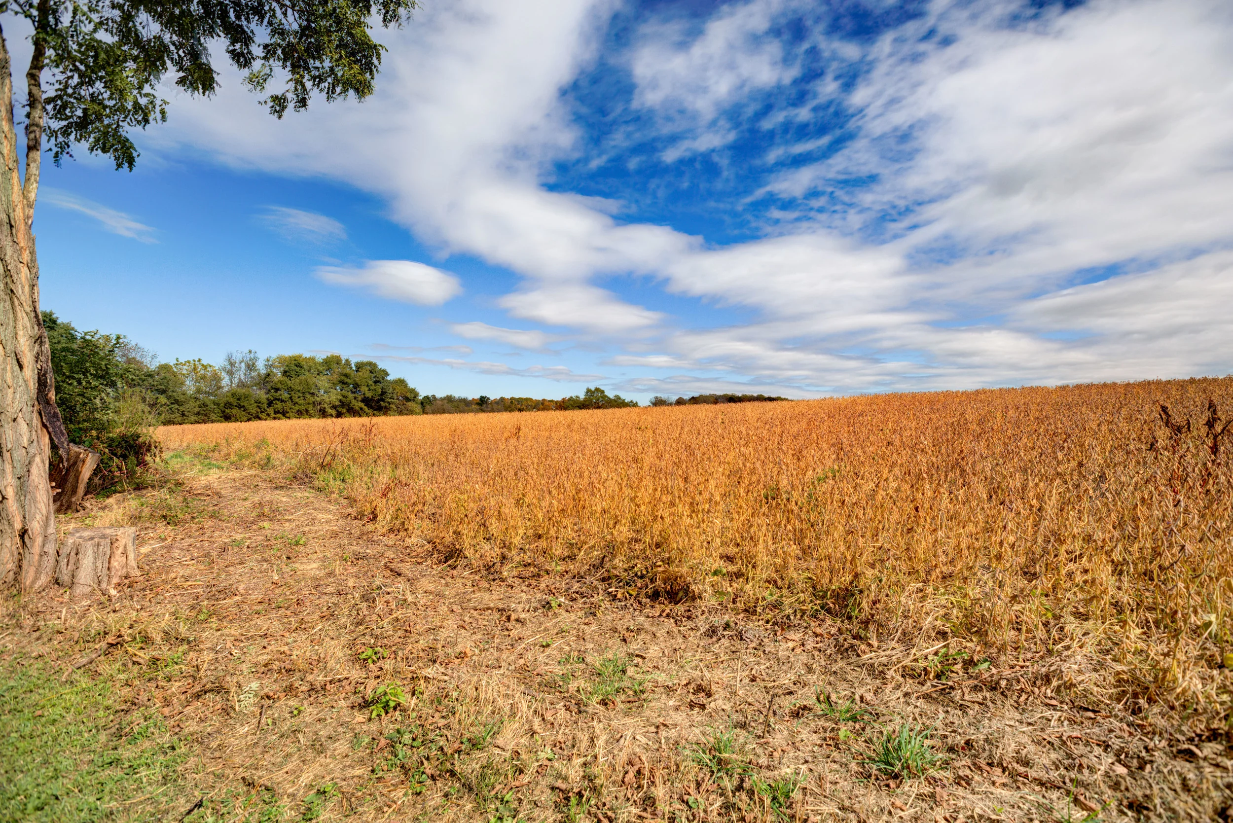 Hopewell-38.jpg