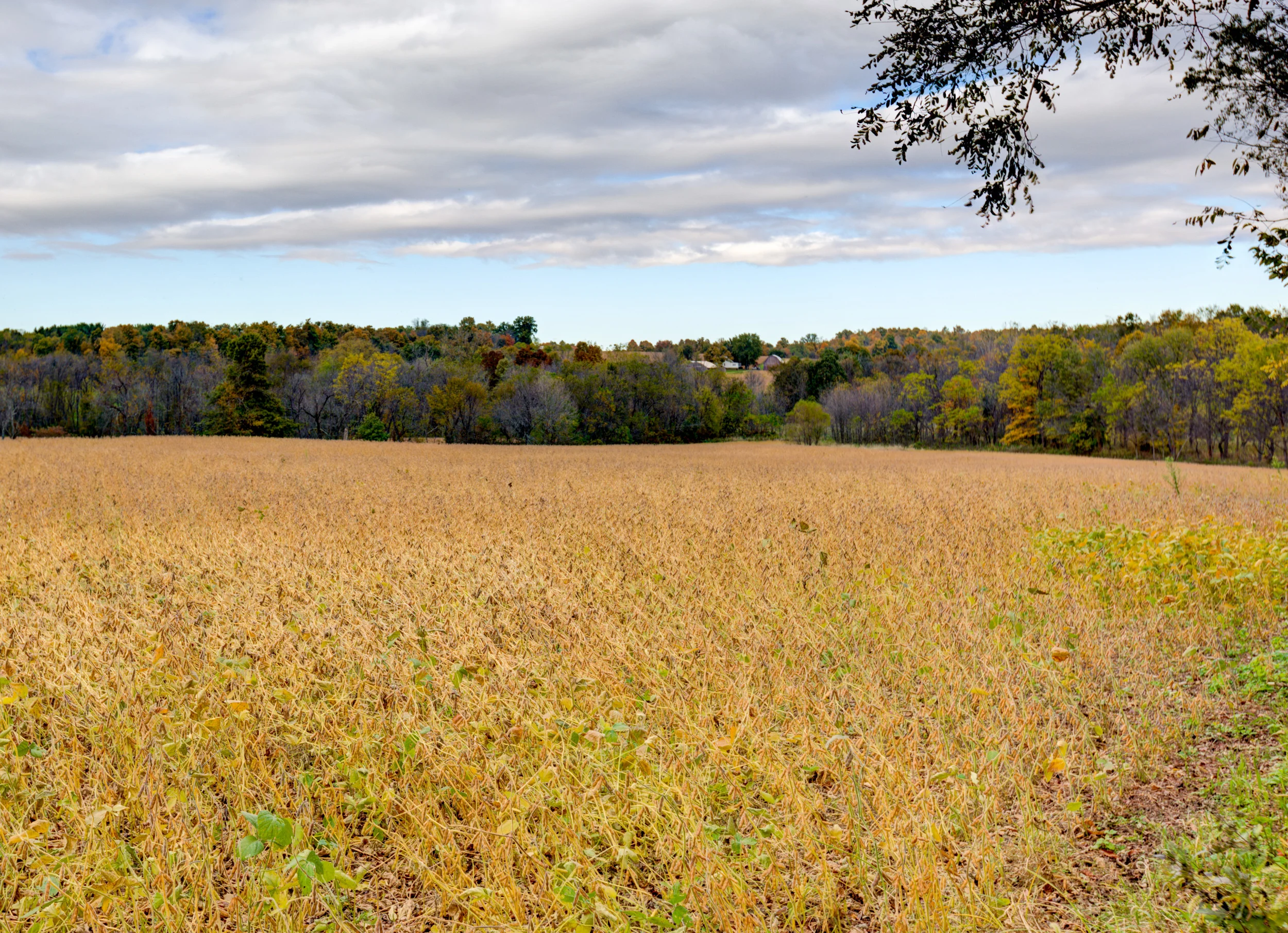 Hopewell-62.jpg