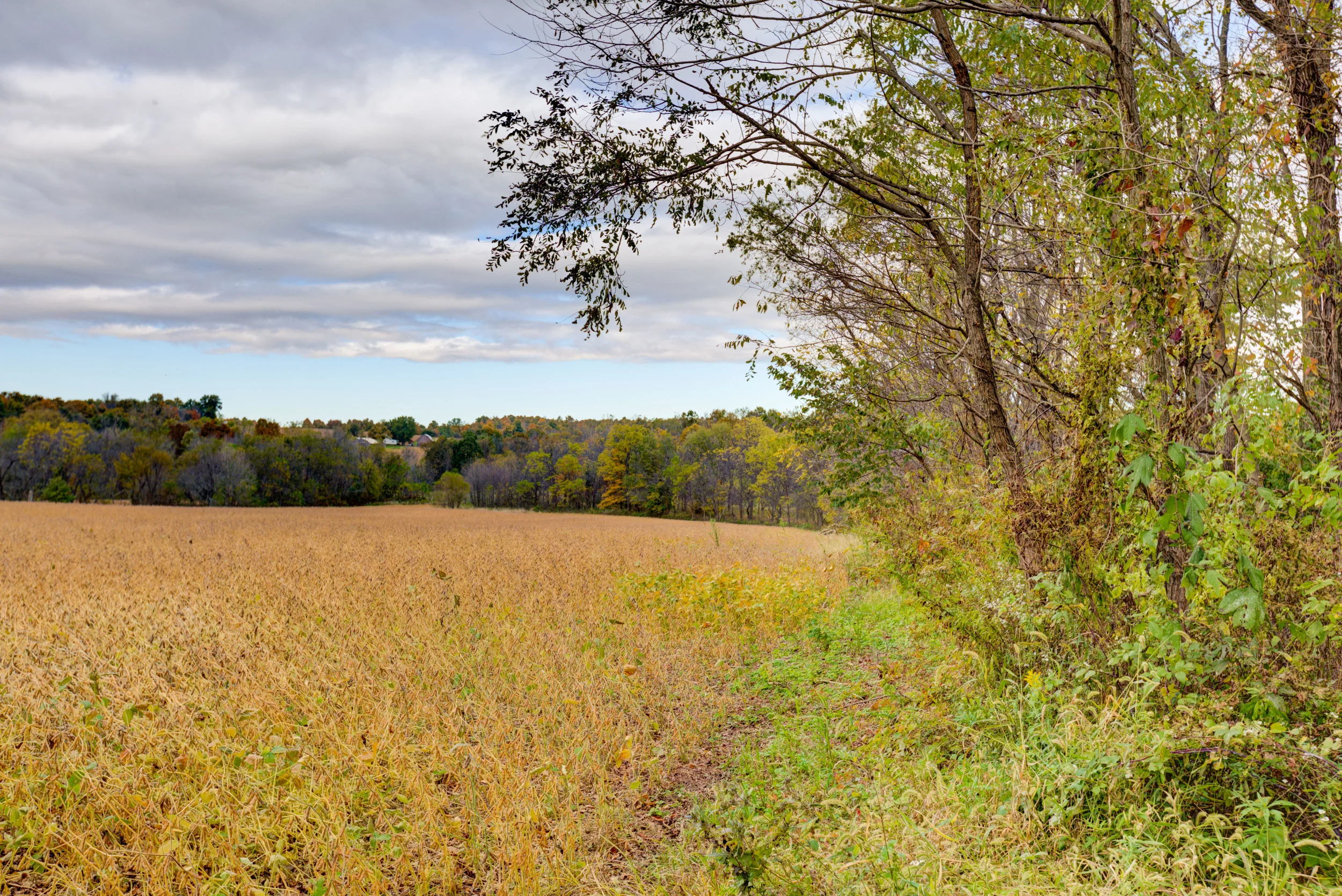 Hopewell-64.jpg