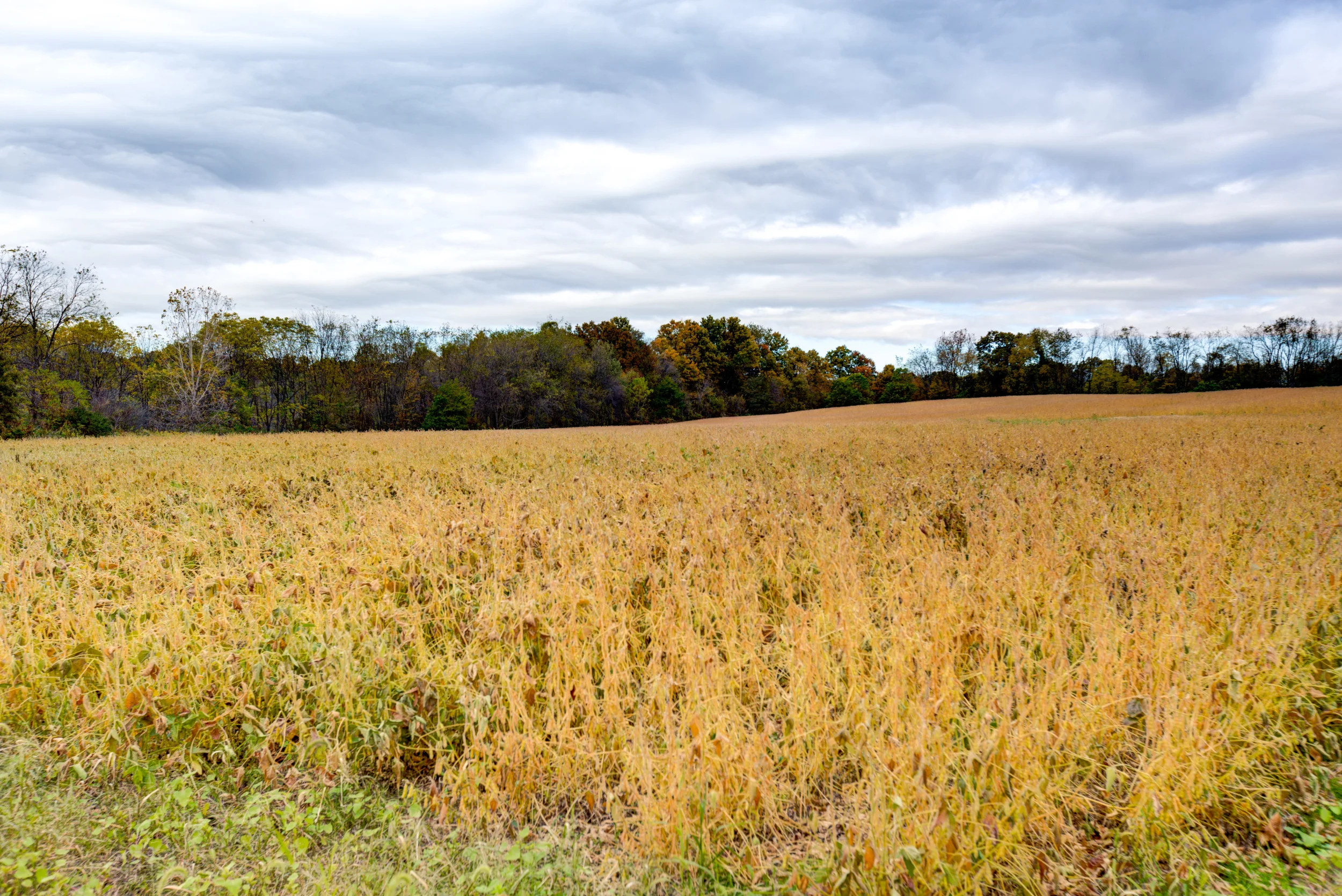 Hopewell-65.jpg