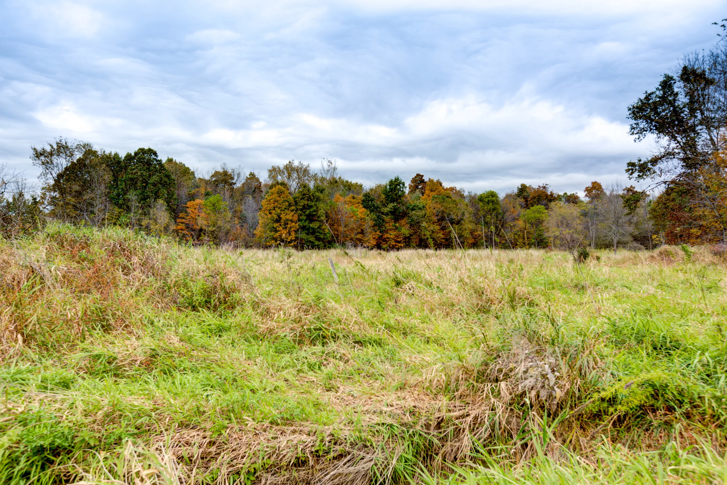 Hopewell-72.jpg