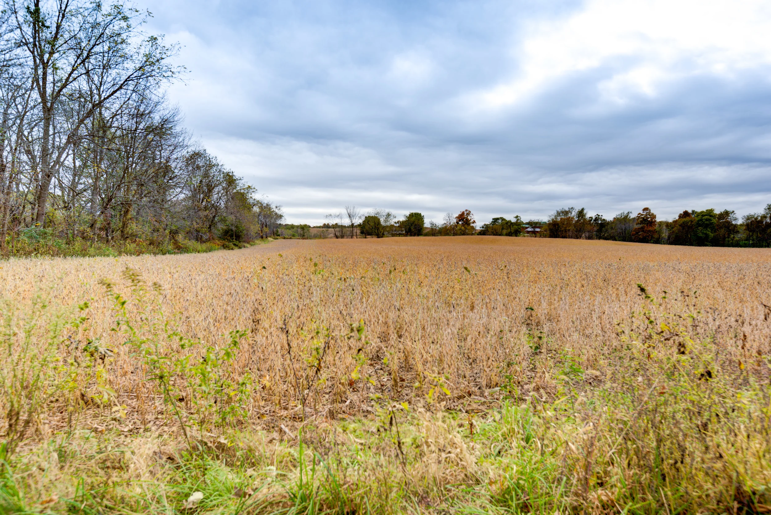 Hopewell-73.jpg