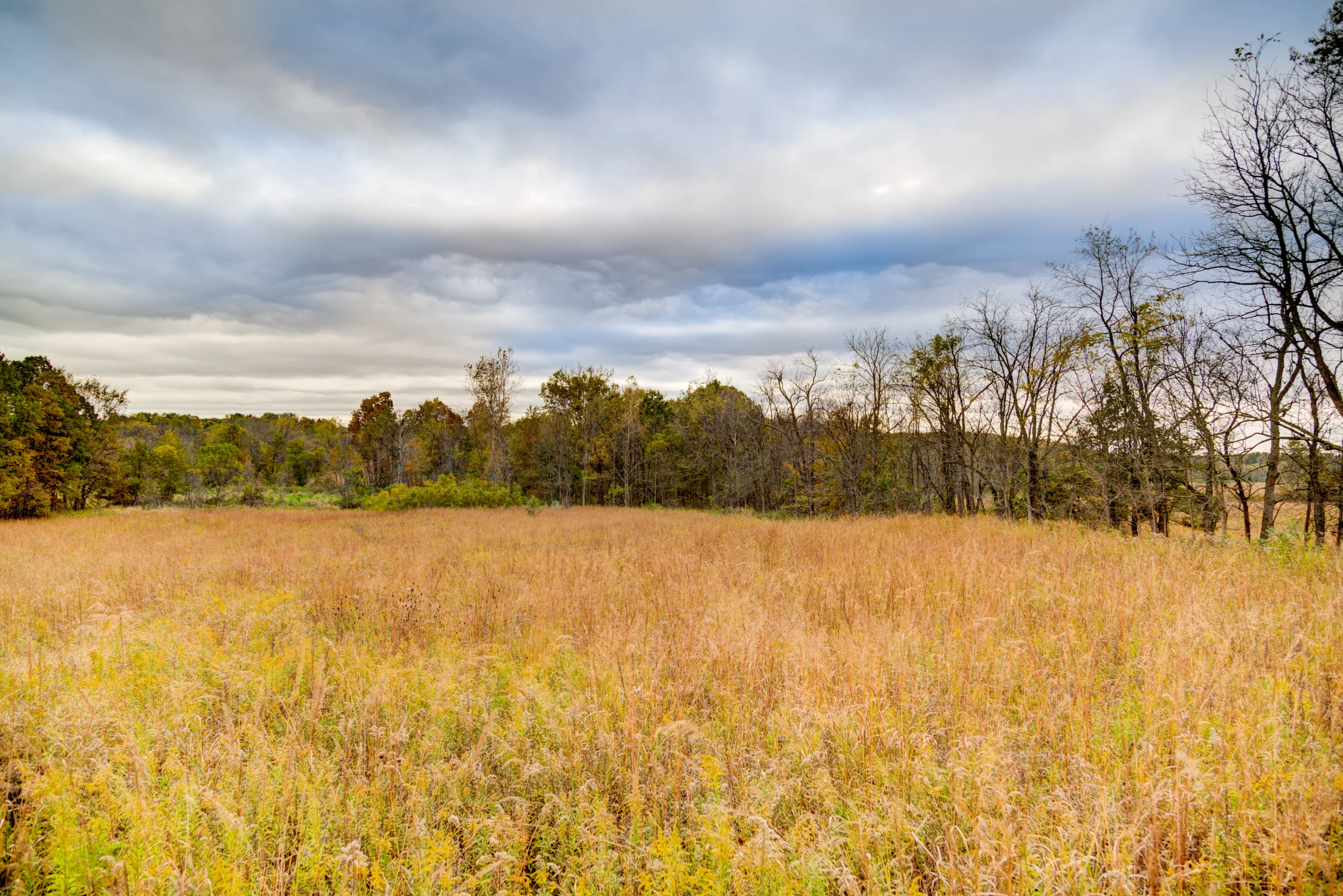 Hopewell-82.jpg