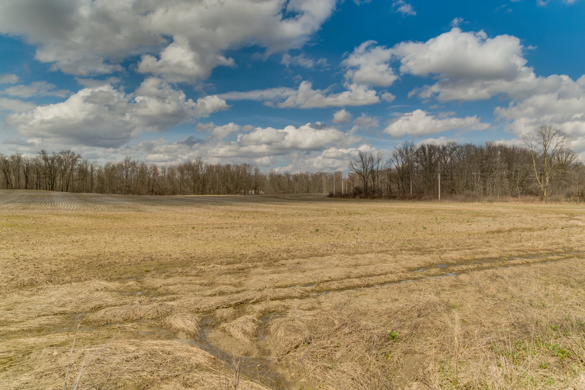 RiggsFarmWeb-106.jpg