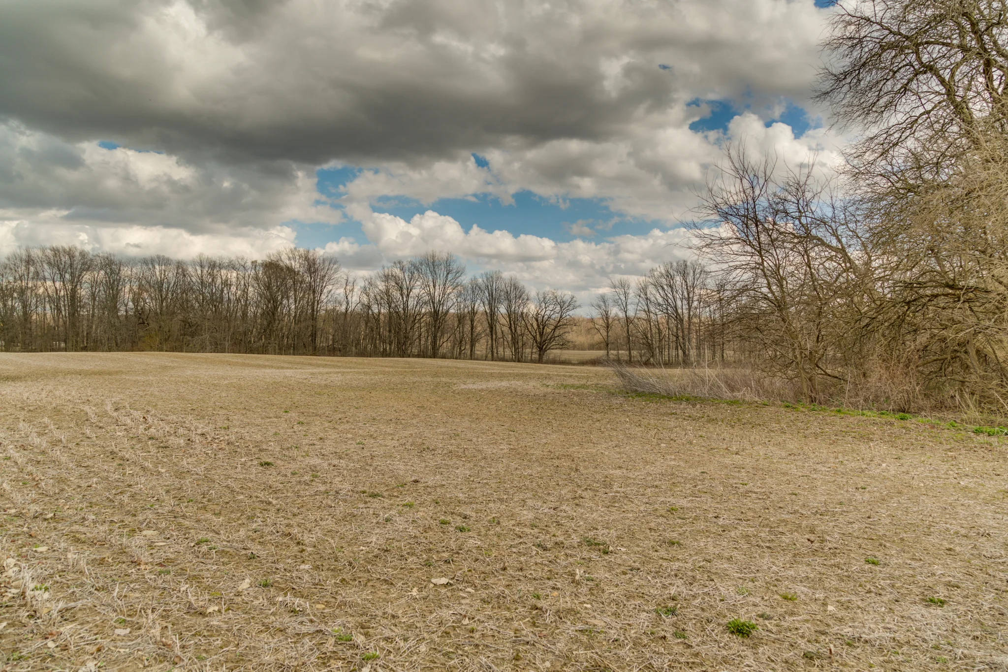 RiggsFarmWeb-115.jpg