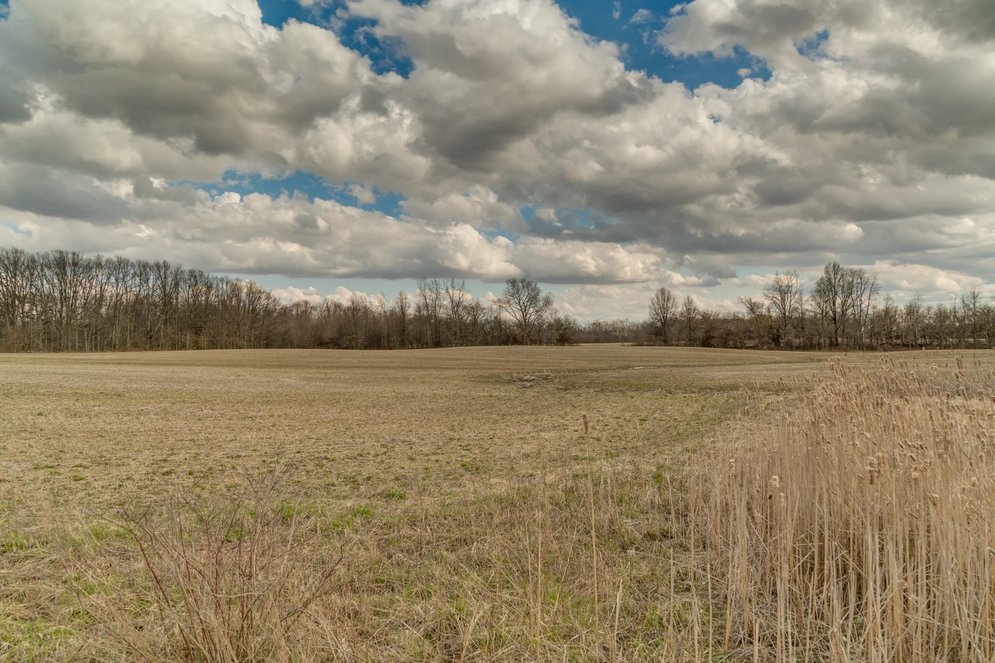 RiggsFarmWeb-122.jpg