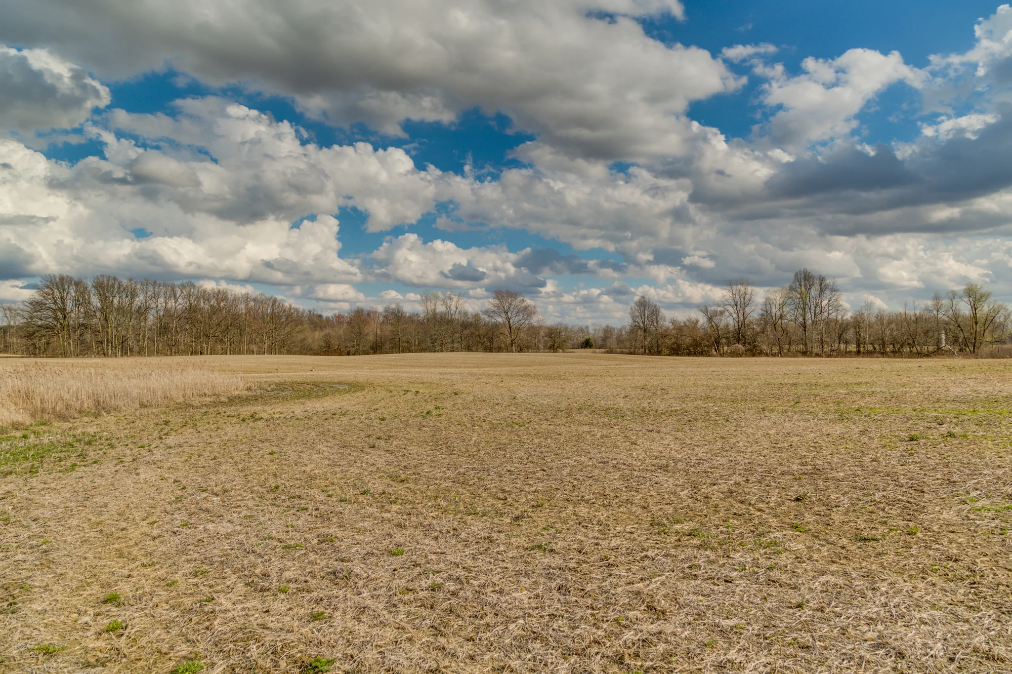 RiggsFarmWeb-126.jpg