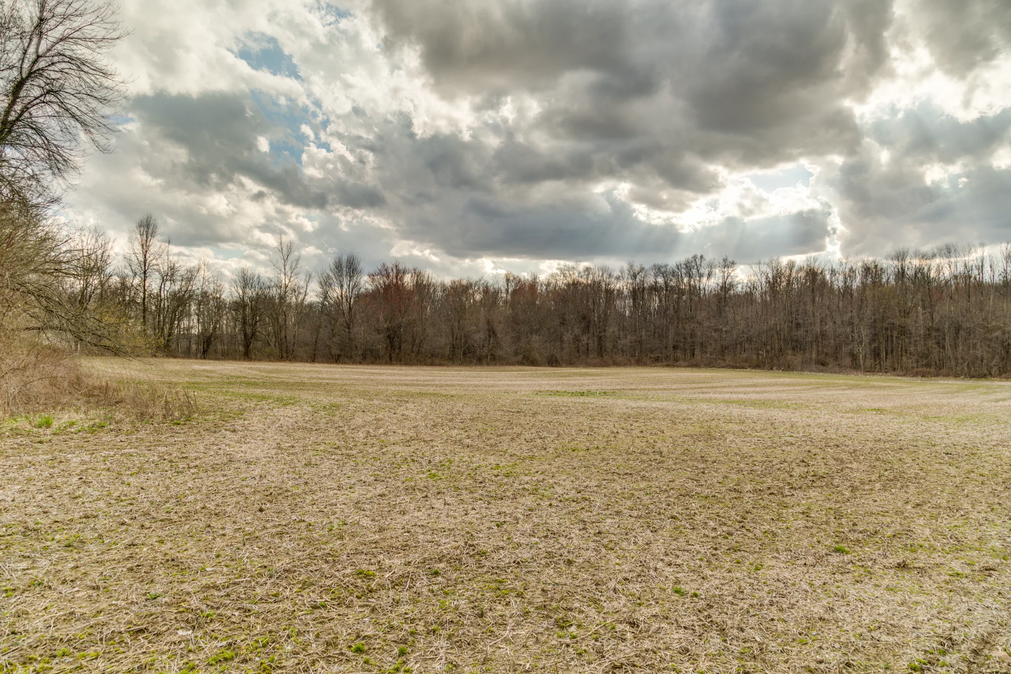 RiggsFarmWeb-128.jpg