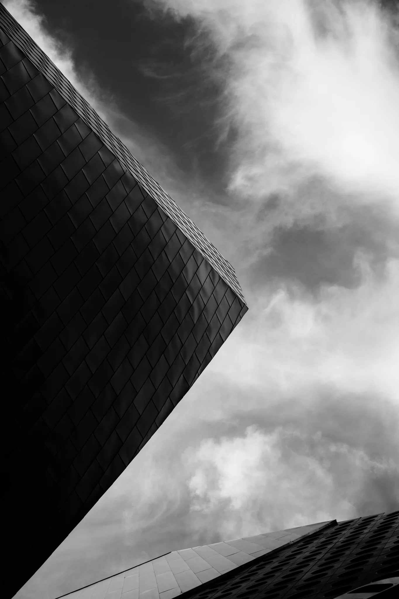 untitled-295.jpg