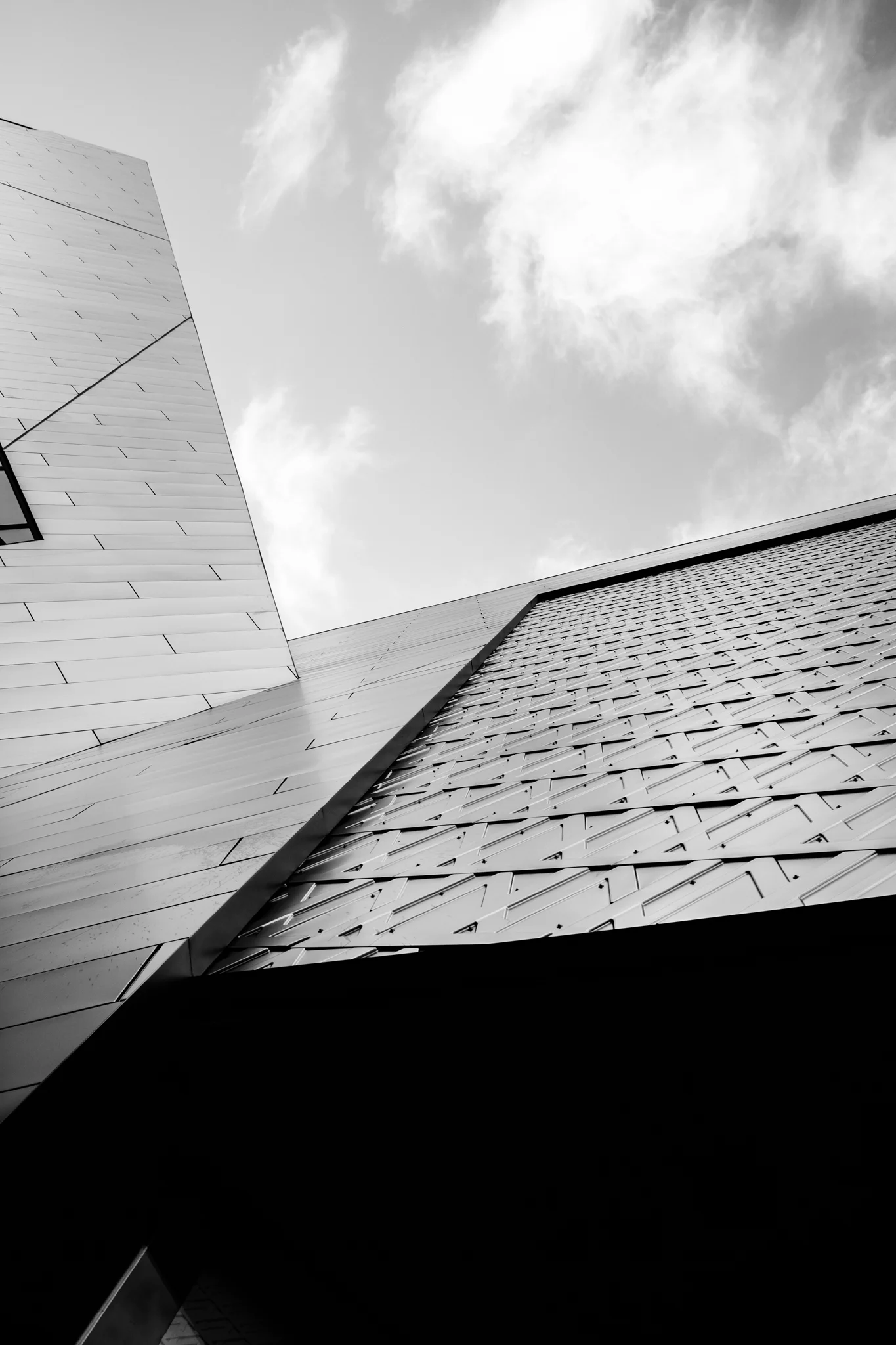 untitled-311.jpg
