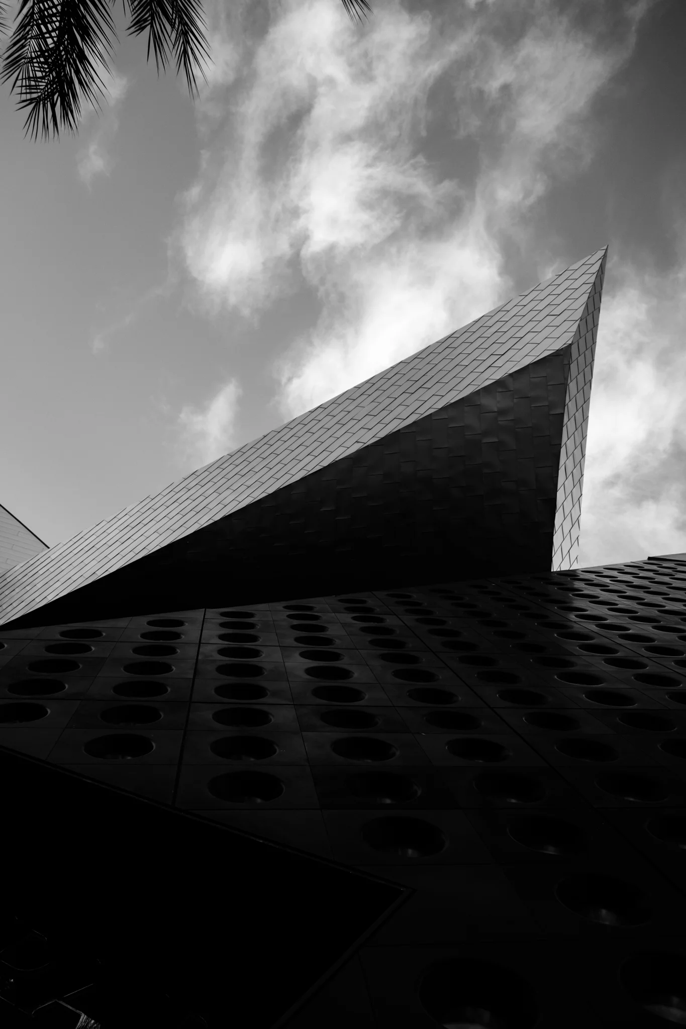 untitled-337.jpg