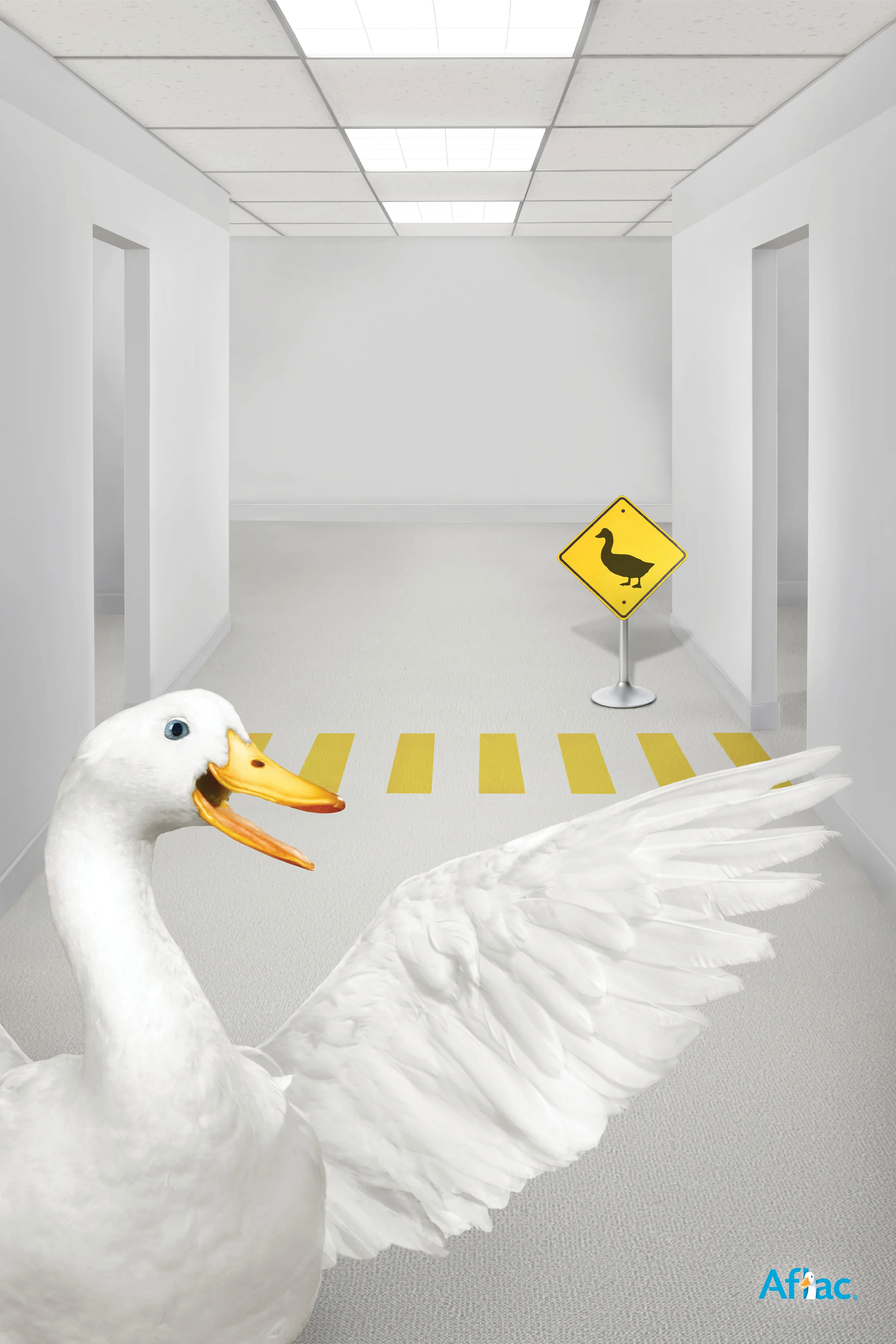 Winner of 2011 NEDMA Gold Award